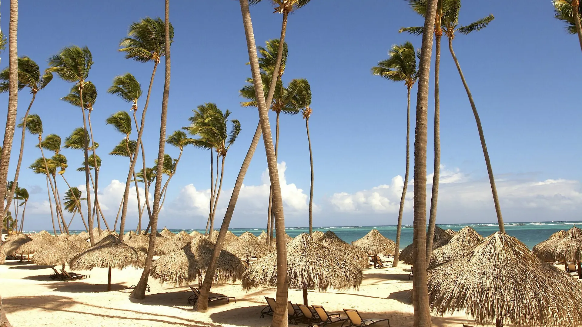 Royal Service At Paradisus Palma Real (Adults Only) Punta Cana República Dominicana